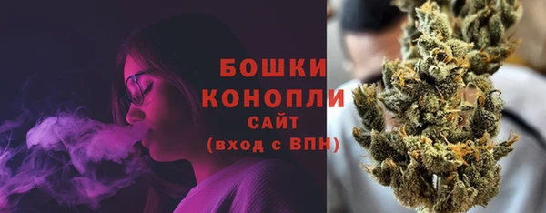 гидра Бронницы