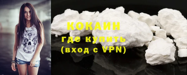 дурь Краснослободск