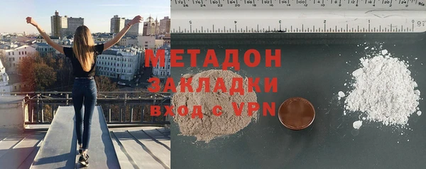 прущие грибы Богданович