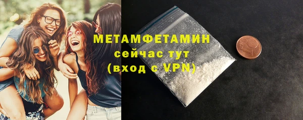 прущие грибы Волоколамск