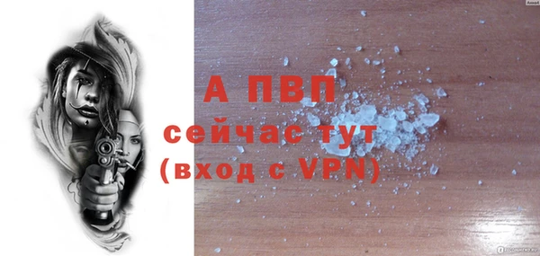 гидра Бронницы