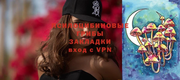 гидра Бронницы