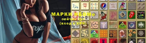 mdma Бородино