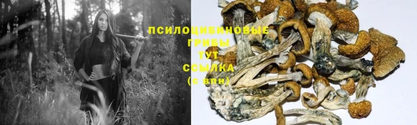 mdma Бородино